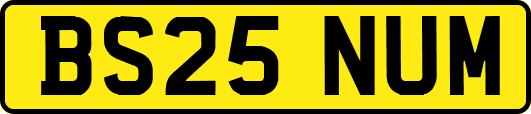 BS25NUM
