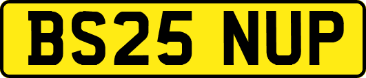 BS25NUP