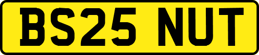 BS25NUT