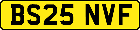 BS25NVF