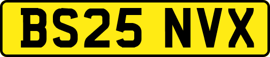BS25NVX