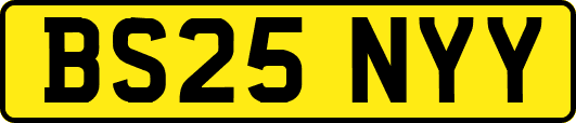 BS25NYY