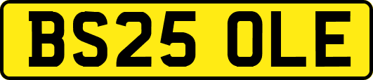 BS25OLE