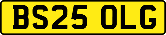 BS25OLG