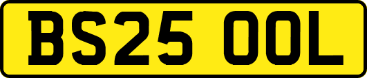 BS25OOL