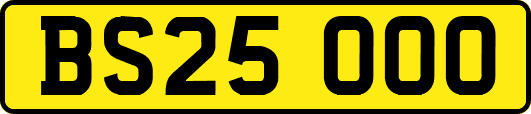 BS25OOO