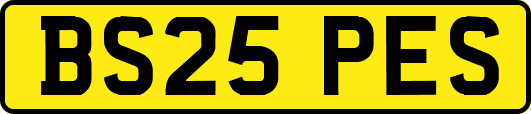 BS25PES