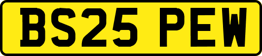 BS25PEW