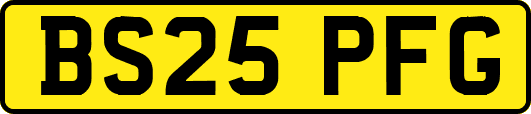 BS25PFG