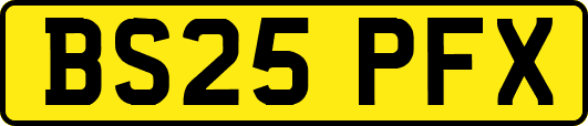 BS25PFX
