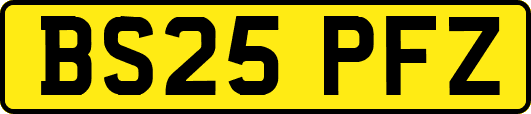 BS25PFZ