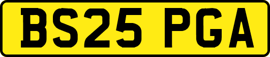 BS25PGA
