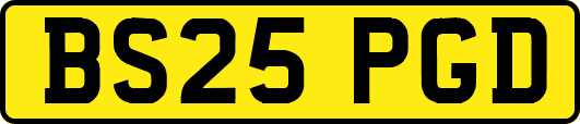 BS25PGD