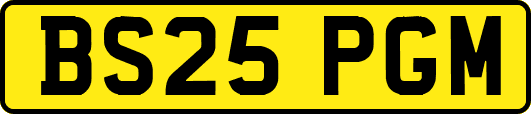 BS25PGM