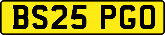 BS25PGO