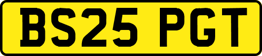 BS25PGT
