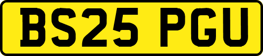 BS25PGU