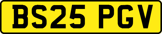BS25PGV
