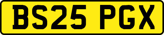 BS25PGX