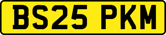 BS25PKM