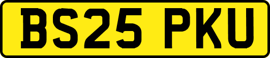 BS25PKU