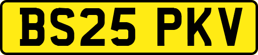 BS25PKV