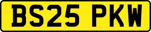 BS25PKW