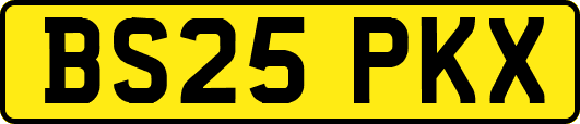 BS25PKX