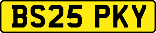 BS25PKY