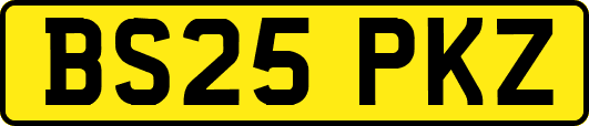 BS25PKZ