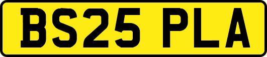 BS25PLA