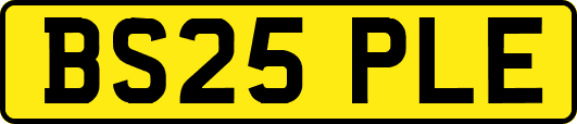 BS25PLE