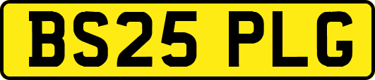 BS25PLG
