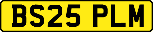BS25PLM