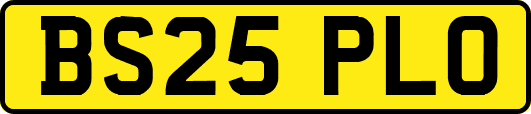 BS25PLO