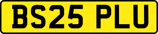 BS25PLU