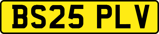 BS25PLV