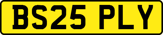 BS25PLY