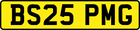 BS25PMG