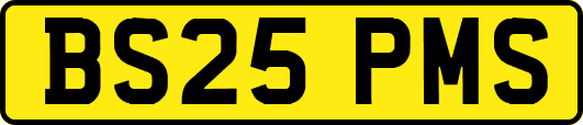 BS25PMS