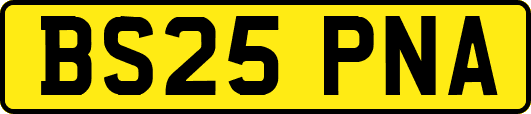 BS25PNA