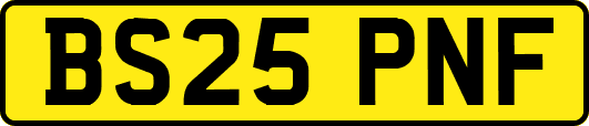 BS25PNF
