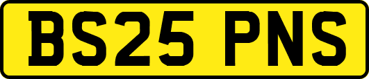 BS25PNS
