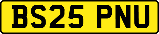 BS25PNU