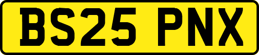 BS25PNX