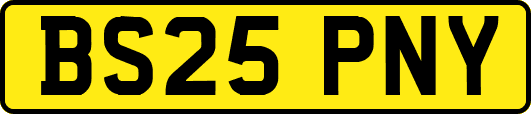 BS25PNY