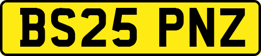 BS25PNZ