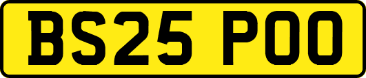 BS25POO