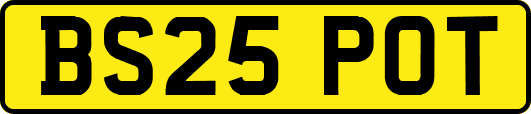 BS25POT
