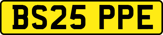 BS25PPE